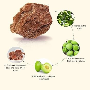 Boba Planet Dried Plum